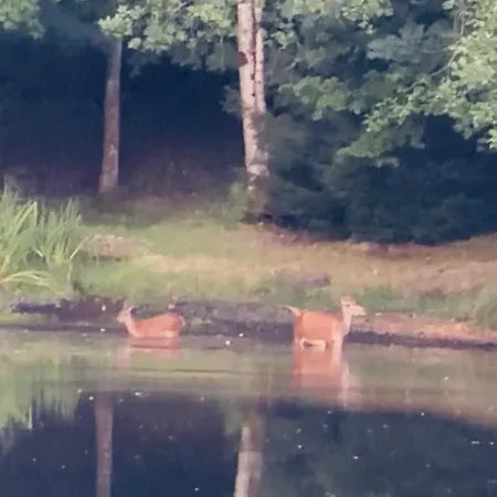Apartament Clairbois *